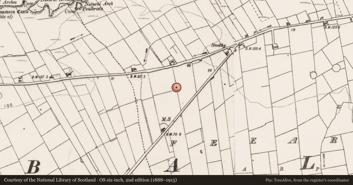Ordnance Survey six-inch map, 2nd edition (1888–1915) covering the location of Ringfort - rath, Feeard, County Clare, with a pin at the register's coordinates