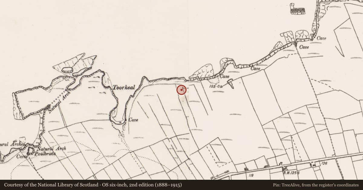 Ordnance Survey six-inch map, 2nd edition (1888–1915) covering the location of Earthwork, Feeard, County Clare, with a pin at the register's coordinates