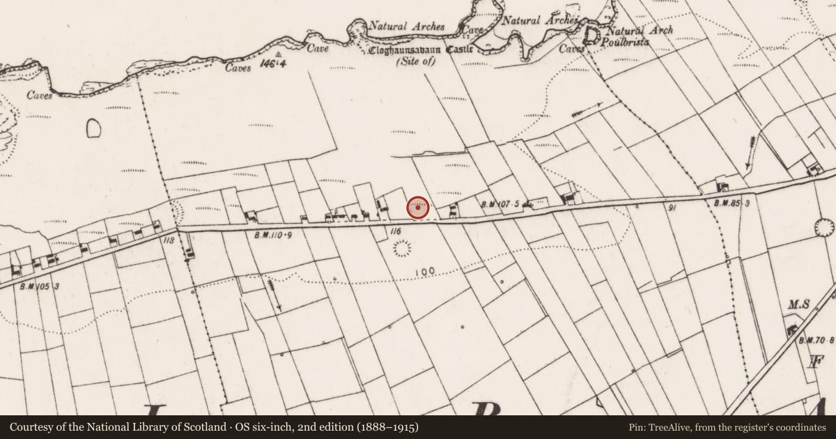 Ordnance Survey six-inch map, 2nd edition (1888–1915) covering the location of Ringfort - rath, Cloghaunsavaun, County Clare, with a pin at the register's coordinates