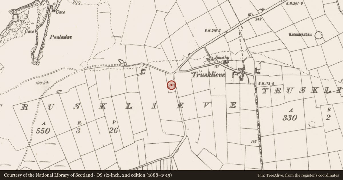 Ordnance Survey six-inch map, 2nd edition (1888–1915) covering the location of Ringfort - rath, Trusklieve, County Clare, with a pin at the register's coordinates