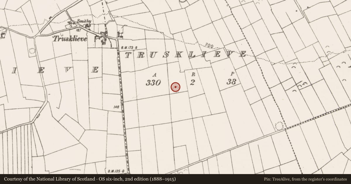 Ordnance Survey six-inch map, 2nd edition (1888–1915) covering the location of Ringfort - rath, Trusklieve, County Clare, with a pin at the register's coordinates