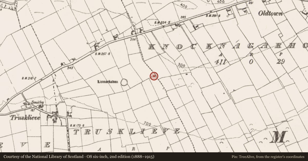Ordnance Survey six-inch map, 2nd edition (1888–1915) covering the location of Ringfort - rath, Trusklieve, County Clare, with a pin at the register's coordinates