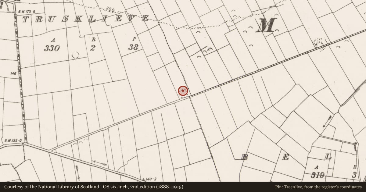 Ordnance Survey six-inch map, 2nd edition (1888–1915) covering the location of Ringfort - rath, Trusklieve, County Clare, with a pin at the register's coordinates