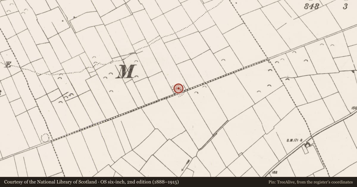 Ordnance Survey six-inch map, 2nd edition (1888–1915) covering the location of Ringfort - rath, Bellia, Knocknagarhoon, County Clare, with a pin at the register's coordinates