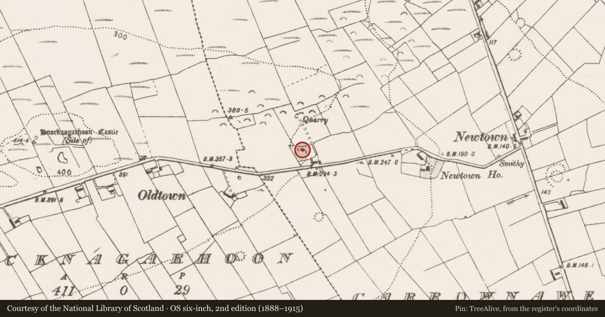 Ordnance Survey six-inch map, 2nd edition (1888–1915) covering the location of Ringfort - rath, Carrownaweelaun, County Clare, with a pin at the register's coordinates