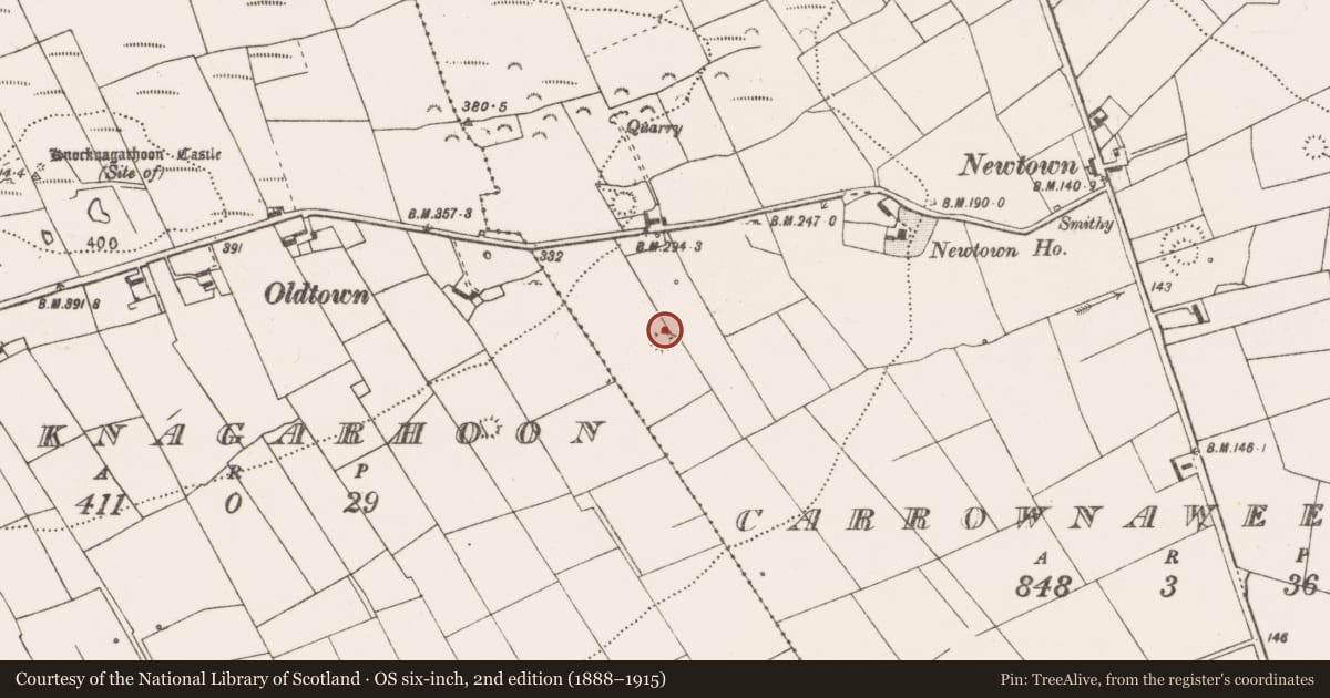 Ordnance Survey six-inch map, 2nd edition (1888–1915) covering the location of Ringfort - rath, Carrownaweelaun, County Clare, with a pin at the register's coordinates