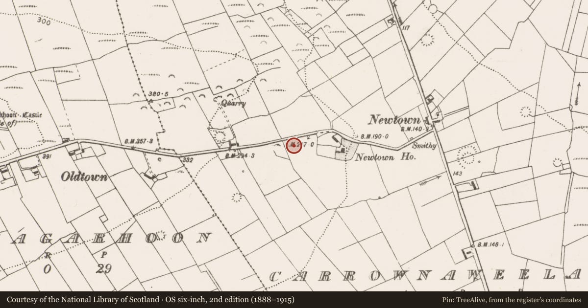 Ordnance Survey six-inch map, 2nd edition (1888–1915) covering the location of Ringfort - rath, Carrownaweelaun, County Clare, with a pin at the register's coordinates
