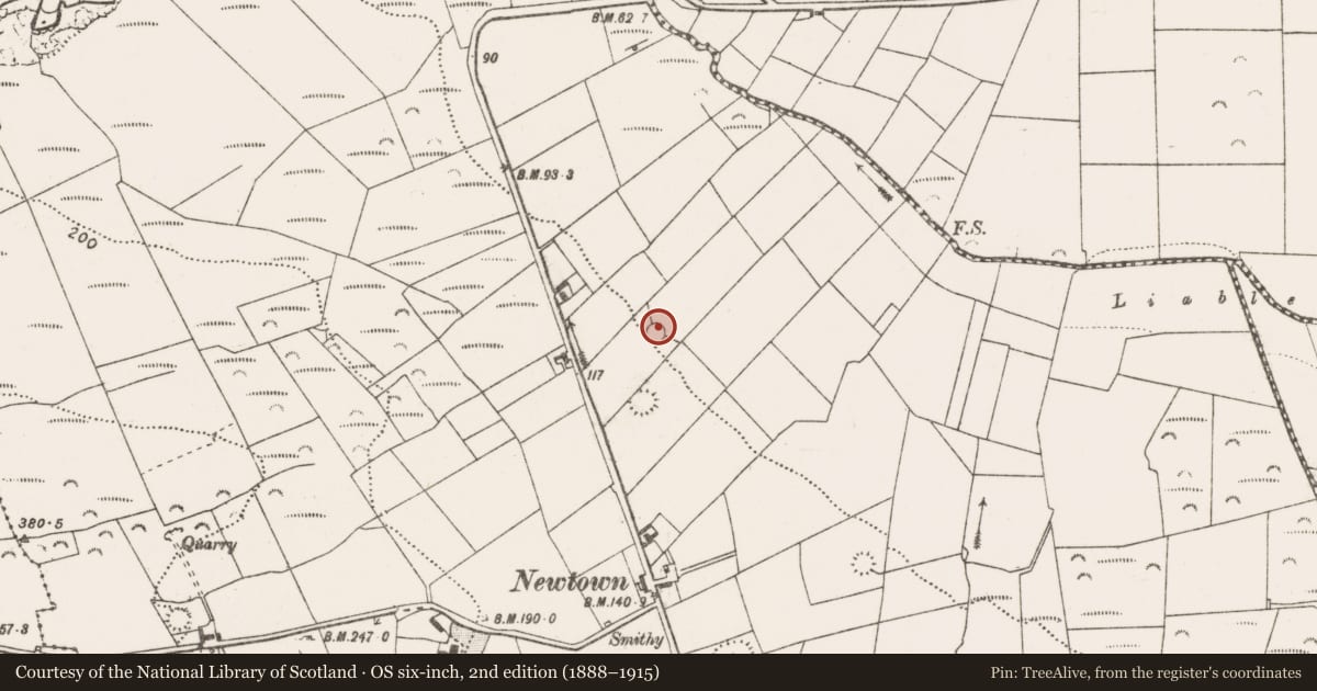 Ordnance Survey six-inch map, 2nd edition (1888–1915) covering the location of Ringfort - rath, Carrownaweelaun, County Clare, with a pin at the register's coordinates