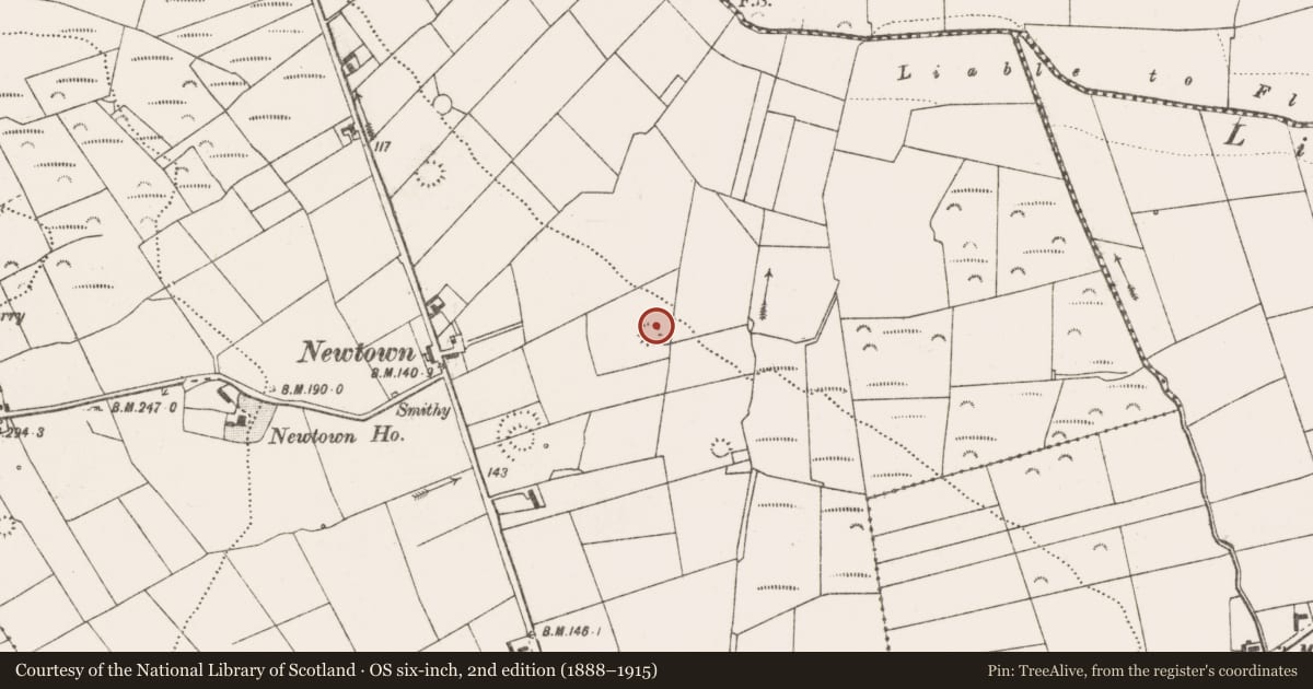 Ordnance Survey six-inch map, 2nd edition (1888–1915) covering the location of Ringfort - rath, Carrownaweelaun, County Clare, with a pin at the register's coordinates