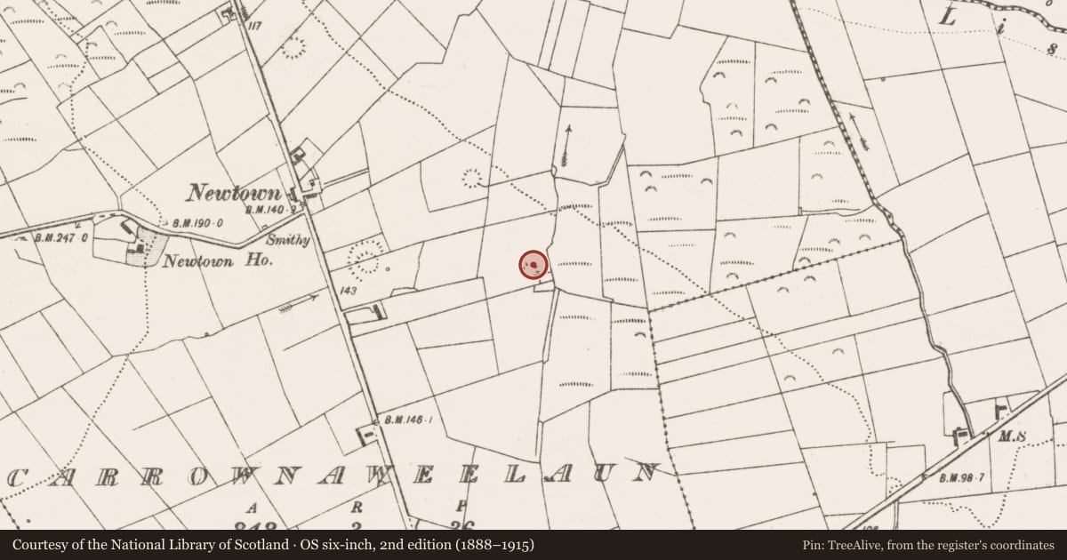 Ordnance Survey six-inch map, 2nd edition (1888–1915) covering the location of Ringfort - rath, Carrownaweelaun, County Clare, with a pin at the register's coordinates