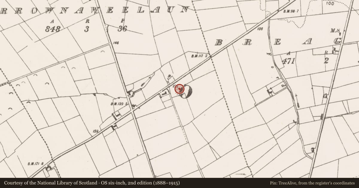 Ordnance Survey six-inch map, 2nd edition (1888–1915) covering the location of Ringfort - rath, Carrownaweelaun, County Clare, with a pin at the register's coordinates