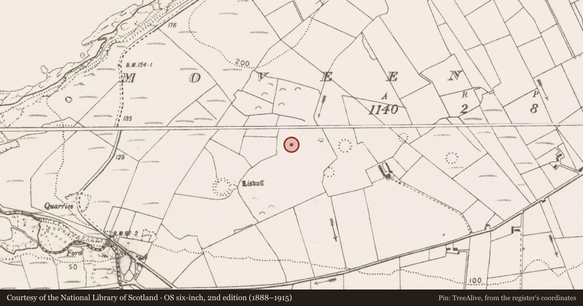 Ordnance Survey six-inch map, 2nd edition (1888–1915) covering the location of Hut site, Moveen West, County Clare, with a pin at the register's coordinates