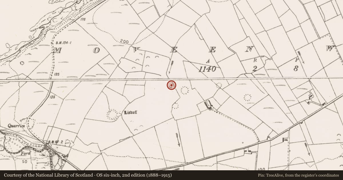 Ordnance Survey six-inch map, 2nd edition (1888–1915) covering the location of Hut site, Moveen West, County Clare, with a pin at the register's coordinates