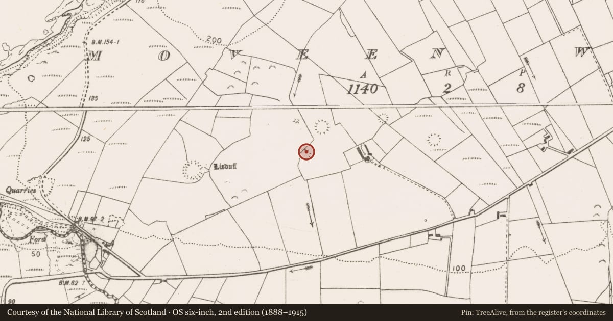 Ordnance Survey six-inch map, 2nd edition (1888–1915) covering the location of Ringfort - rath, Moveen West, County Clare, with a pin at the register's coordinates