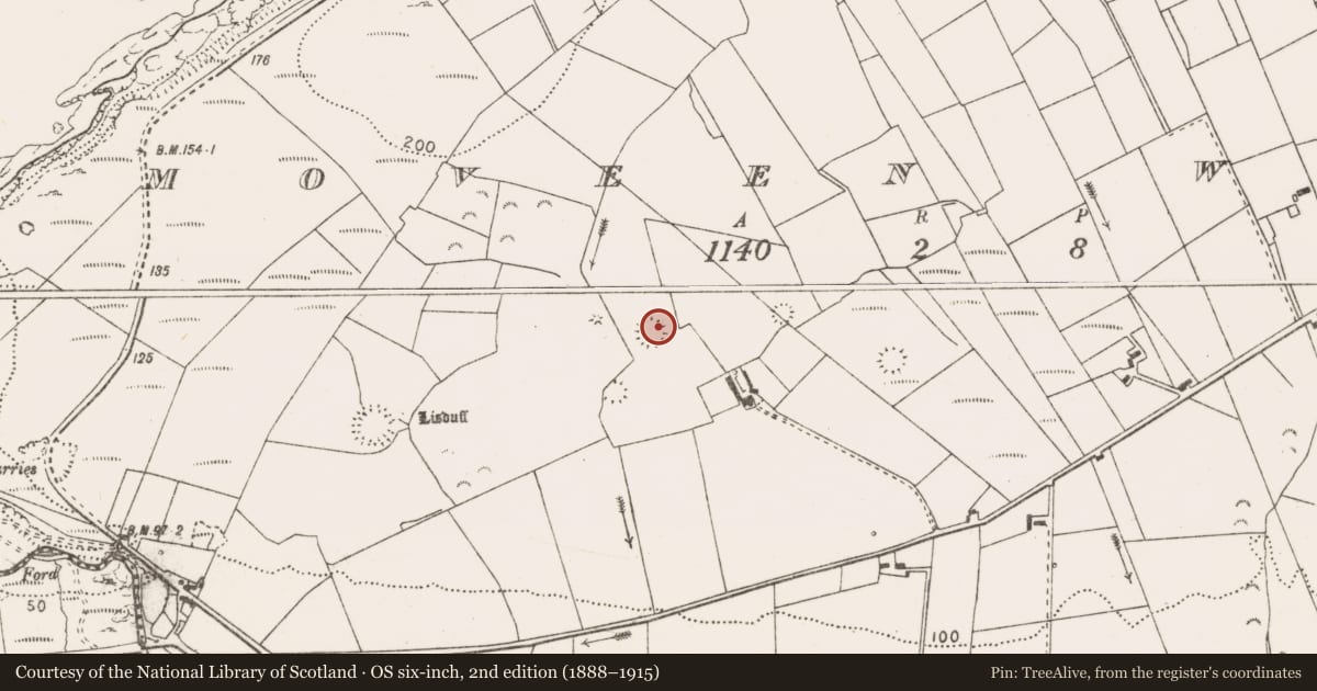 Ordnance Survey six-inch map, 2nd edition (1888–1915) covering the location of Ringfort - rath, Moveen West, County Clare, with a pin at the register's coordinates