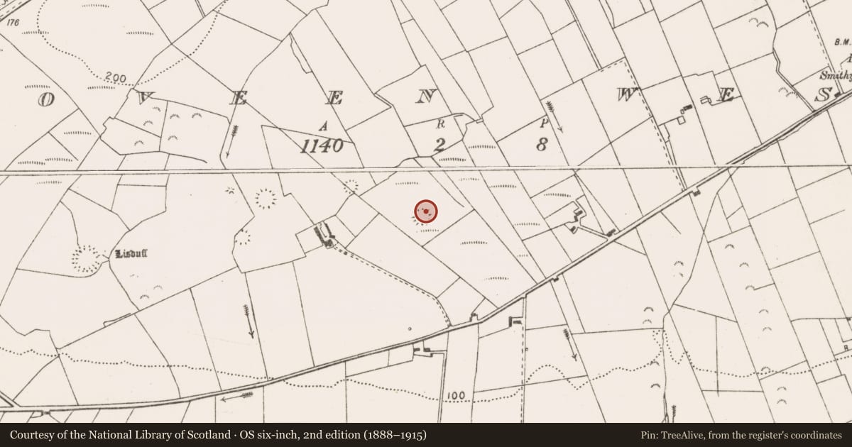 Ordnance Survey six-inch map, 2nd edition (1888–1915) covering the location of Ringfort - rath, Moveen West, County Clare, with a pin at the register's coordinates
