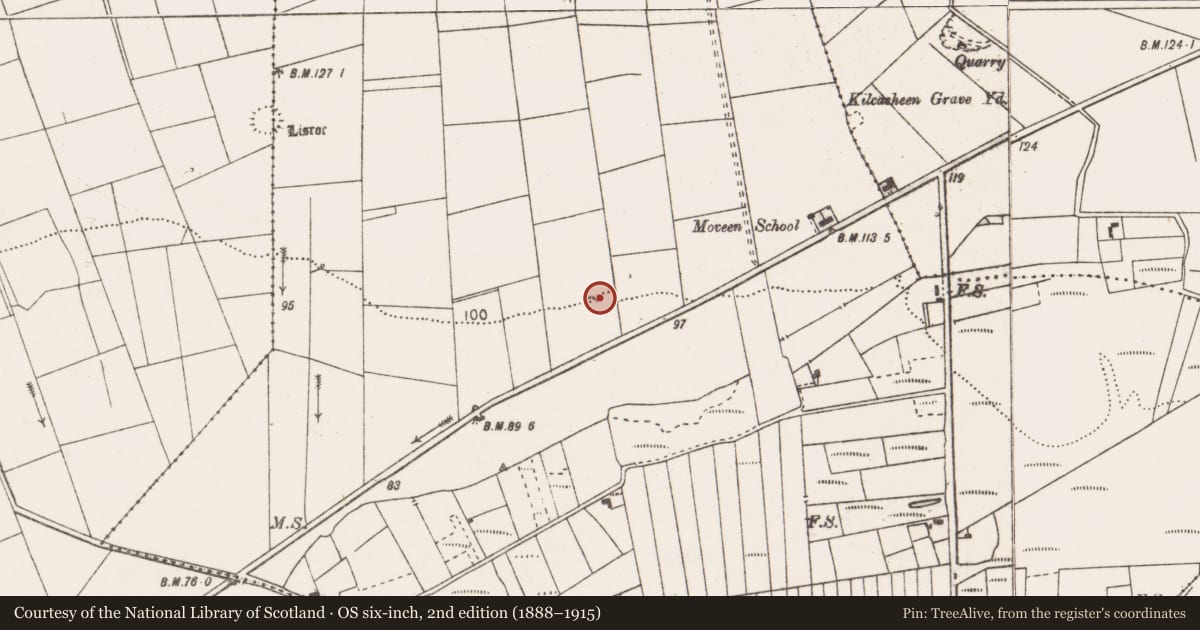 Ordnance Survey six-inch map, 2nd edition (1888–1915) covering the location of Ringfort - rath, Moveen East, County Clare, with a pin at the register's coordinates
