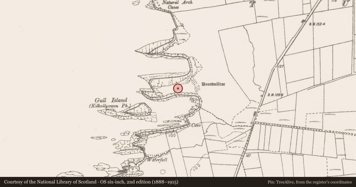 Ordnance Survey six-inch map, 2nd edition (1888–1915) covering the location of Promontory fort - coastal, Tullig, County Clare, with a pin at the register's coordinates