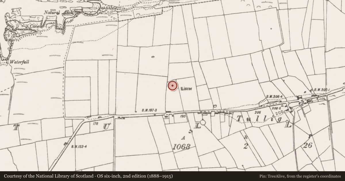 Ordnance Survey six-inch map, 2nd edition (1888–1915) covering the location of Ringfort - rath, Tullig, County Clare, with a pin at the register's coordinates