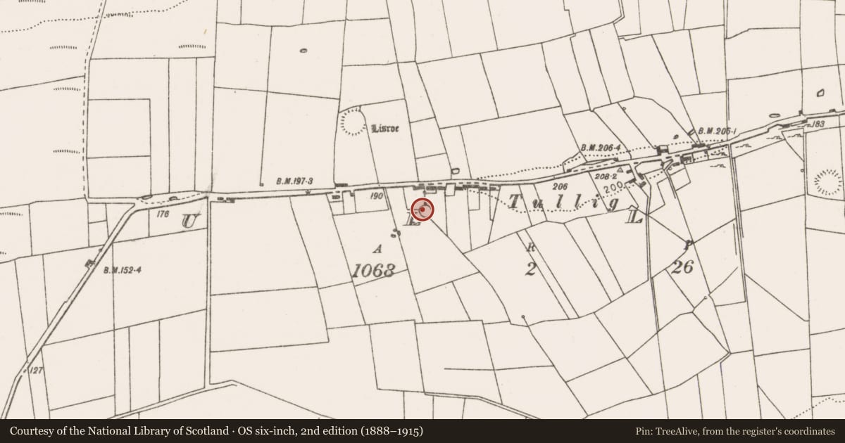 Ordnance Survey six-inch map, 2nd edition (1888–1915) covering the location of Earthwork, Tullig, County Clare, with a pin at the register's coordinates