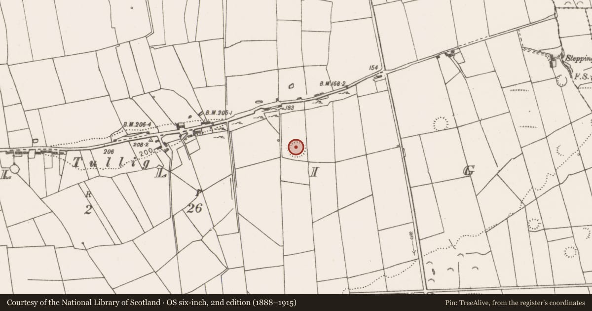 Ordnance Survey six-inch map, 2nd edition (1888–1915) covering the location of Ringfort - rath, Tullig, County Clare, with a pin at the register's coordinates