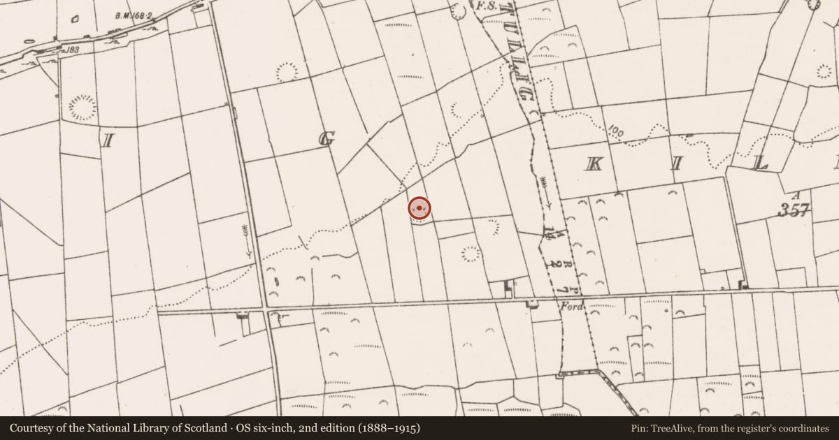 Ordnance Survey six-inch map, 2nd edition (1888–1915) covering the location of Ringfort - rath, Tullig, County Clare, with a pin at the register's coordinates