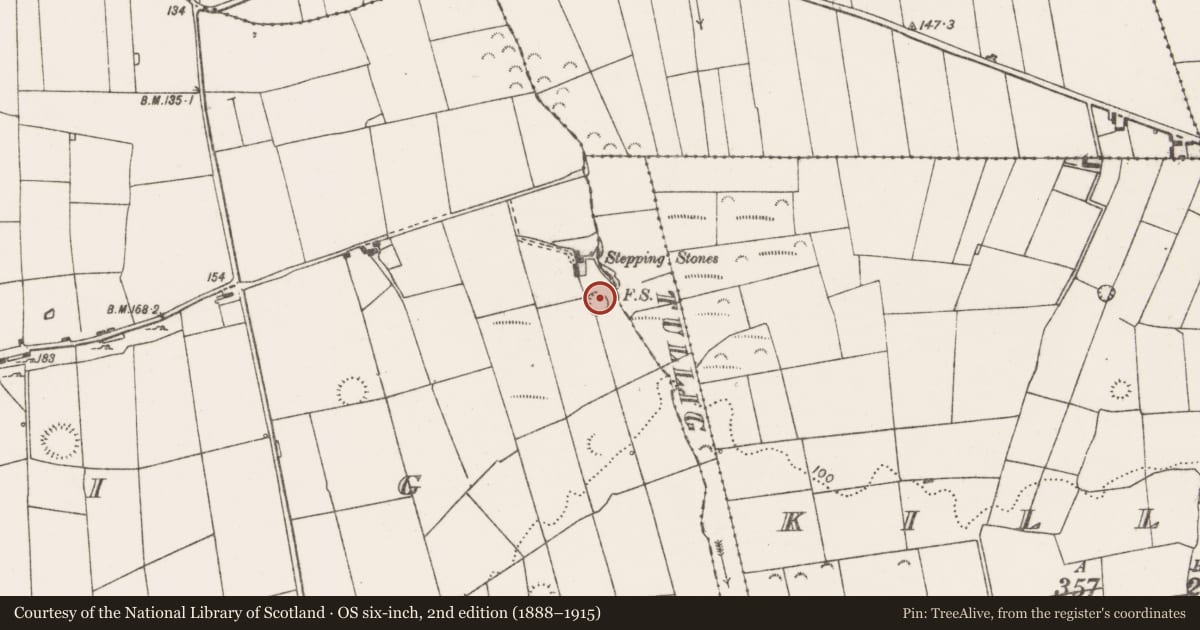 Ordnance Survey six-inch map, 2nd edition (1888–1915) covering the location of Ringfort - rath, Tullig, County Clare, with a pin at the register's coordinates