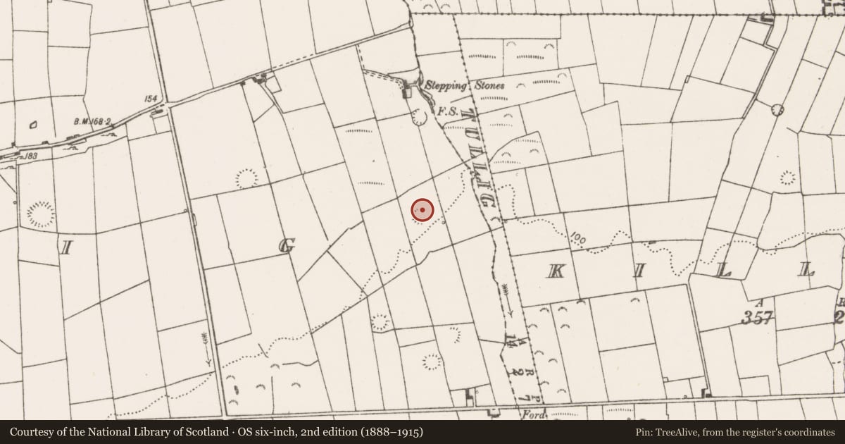 Ordnance Survey six-inch map, 2nd edition (1888–1915) covering the location of Ringfort - rath, Tullig, County Clare, with a pin at the register's coordinates