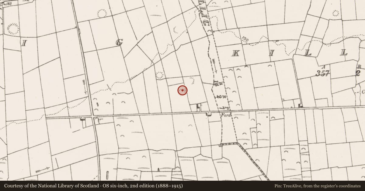 Ordnance Survey six-inch map, 2nd edition (1888–1915) covering the location of Ringfort - rath, Tullig, County Clare, with a pin at the register's coordinates