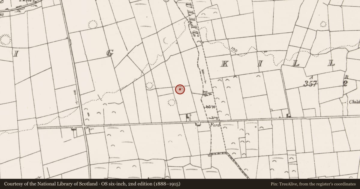 Ordnance Survey six-inch map, 2nd edition (1888–1915) covering the location of Ringfort - rath, Tullig, County Clare, with a pin at the register's coordinates