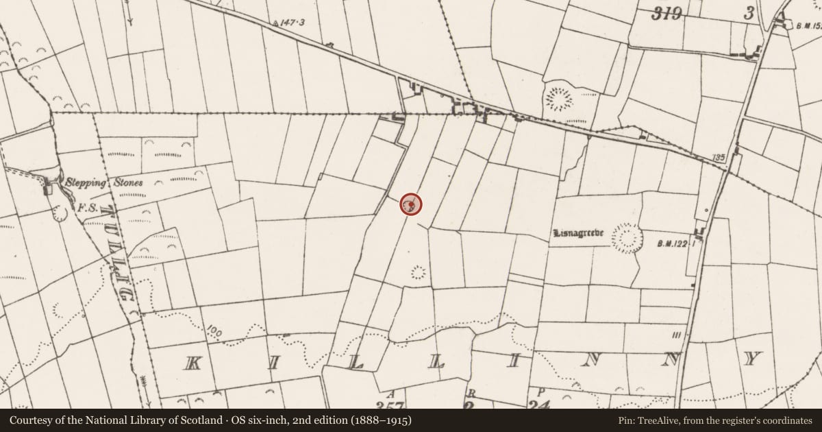 Ordnance Survey six-inch map, 2nd edition (1888–1915) covering the location of Ringfort - rath, Killinny, County Clare, with a pin at the register's coordinates