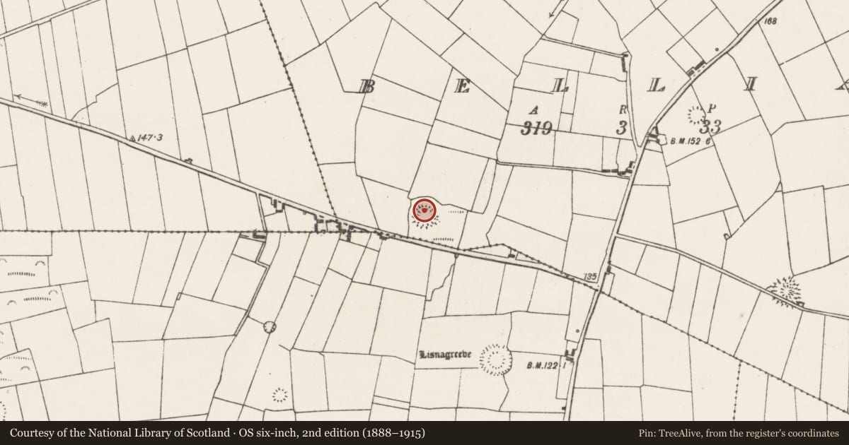 Ordnance Survey six-inch map, 2nd edition (1888–1915) covering the location of Ringfort - rath, Bellia, County Clare, with a pin at the register's coordinates