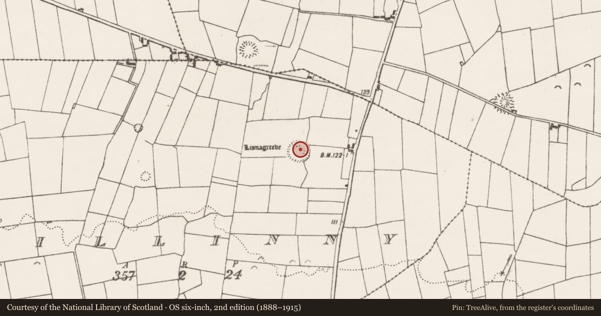 Ordnance Survey six-inch map, 2nd edition (1888–1915) covering the location of Ringfort - rath, Killinny, County Clare, with a pin at the register's coordinates