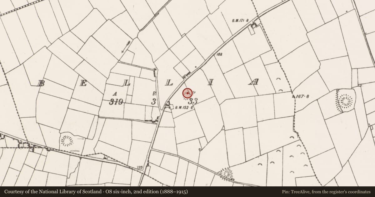 Ordnance Survey six-inch map, 2nd edition (1888–1915) covering the location of Ringfort - rath, Bellia, County Clare, with a pin at the register's coordinates