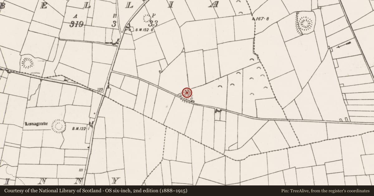 Ordnance Survey six-inch map, 2nd edition (1888–1915) covering the location of Ringfort - rath, Bellia, County Clare, with a pin at the register's coordinates