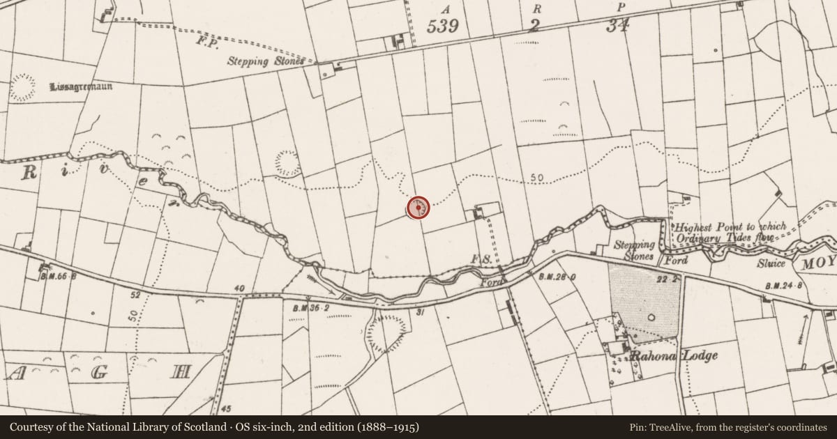 Ordnance Survey six-inch map, 2nd edition (1888–1915) covering the location of Ringfort - rath, Moyarta West, County Clare, with a pin at the register's coordinates