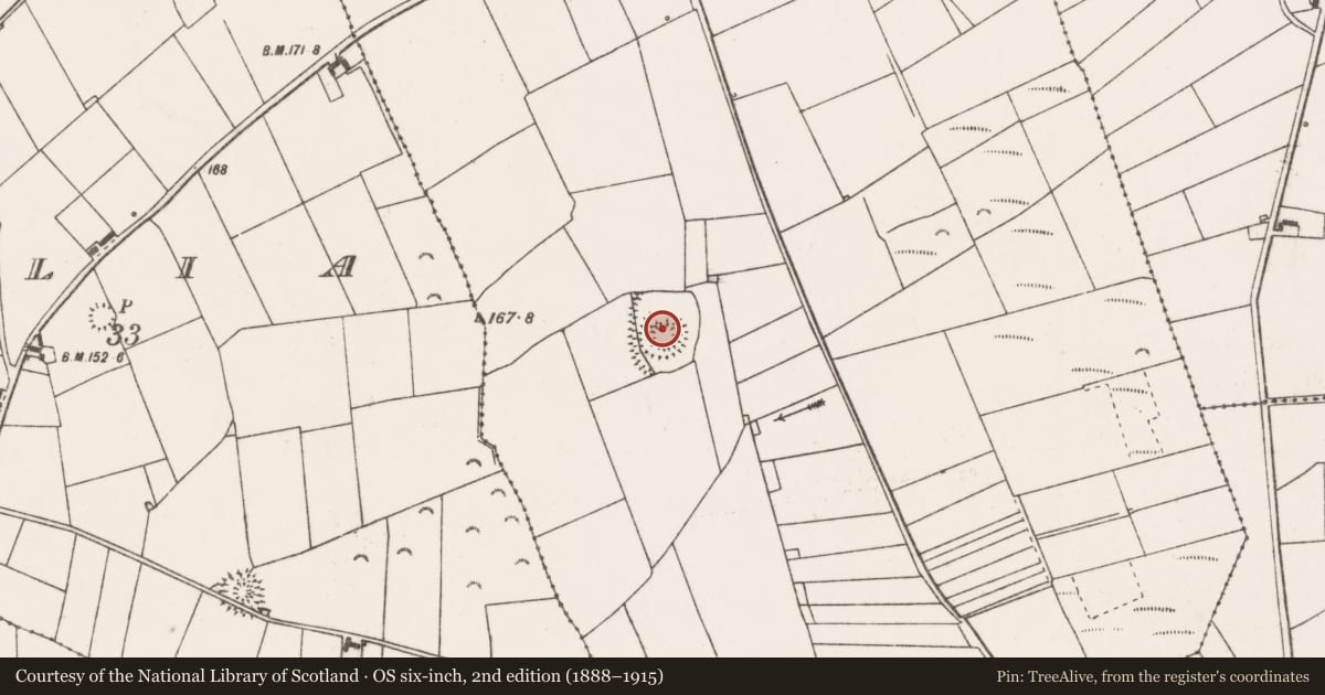 Ordnance Survey six-inch map, 2nd edition (1888–1915) covering the location of Concentric enclosure, Carrownaweelaun, County Clare, with a pin at the register's coordinates