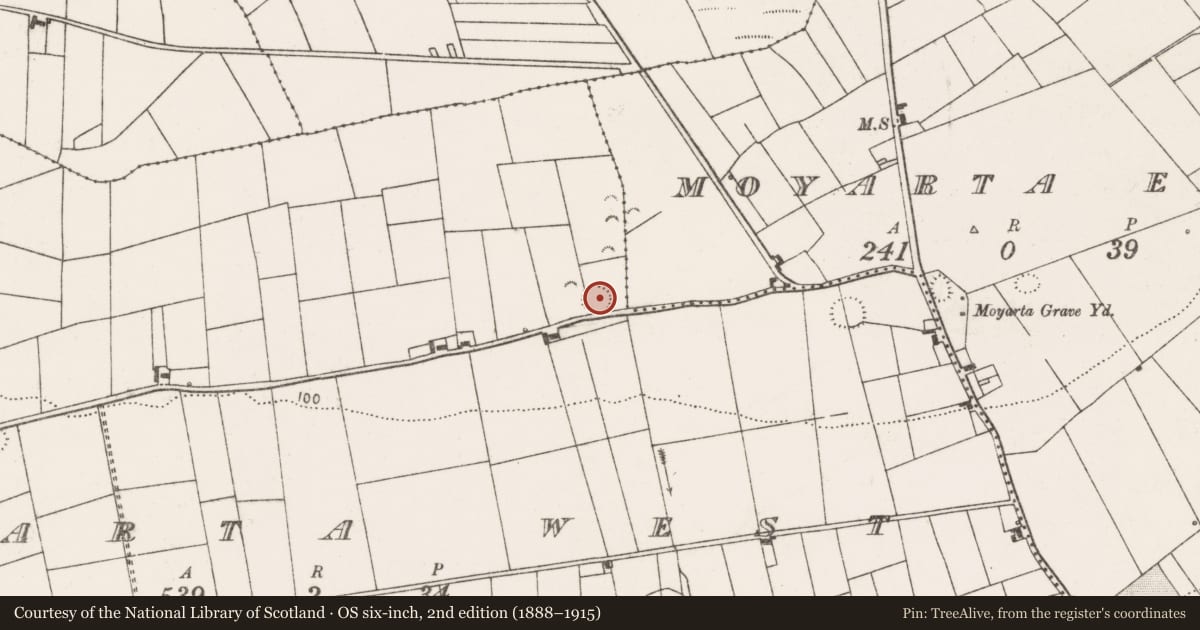 Ordnance Survey six-inch map, 2nd edition (1888–1915) covering the location of Ringfort - rath, Moyarta West, County Clare, with a pin at the register's coordinates