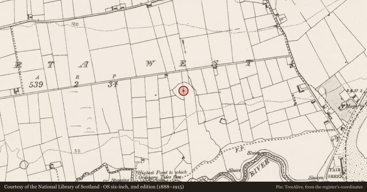 Ordnance Survey six-inch map, 2nd edition (1888–1915) covering the location of Ringfort - rath, Moyarta West, County Clare, with a pin at the register's coordinates