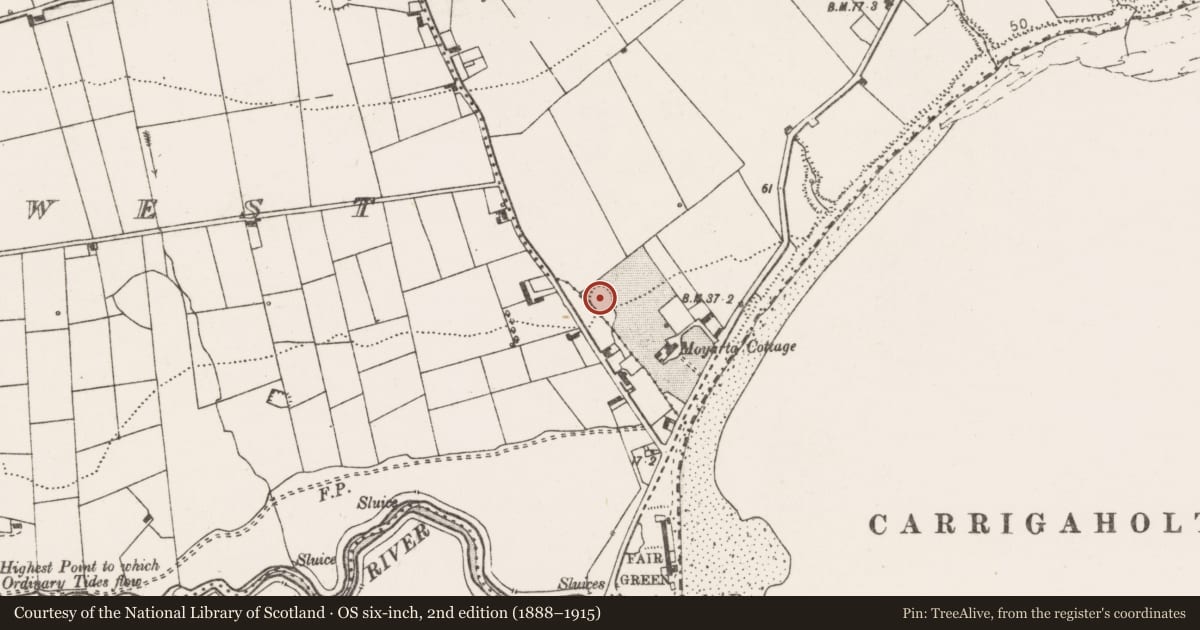 Ordnance Survey six-inch map, 2nd edition (1888–1915) covering the location of Ringfort - rath, Moyarta East, County Clare, with a pin at the register's coordinates