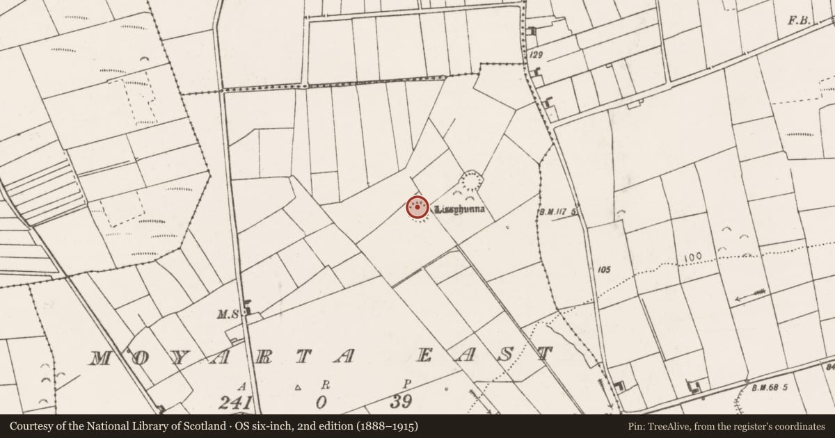 Ordnance Survey six-inch map, 2nd edition (1888–1915) covering the location of Ringfort - rath, Moyarta East, County Clare, with a pin at the register's coordinates