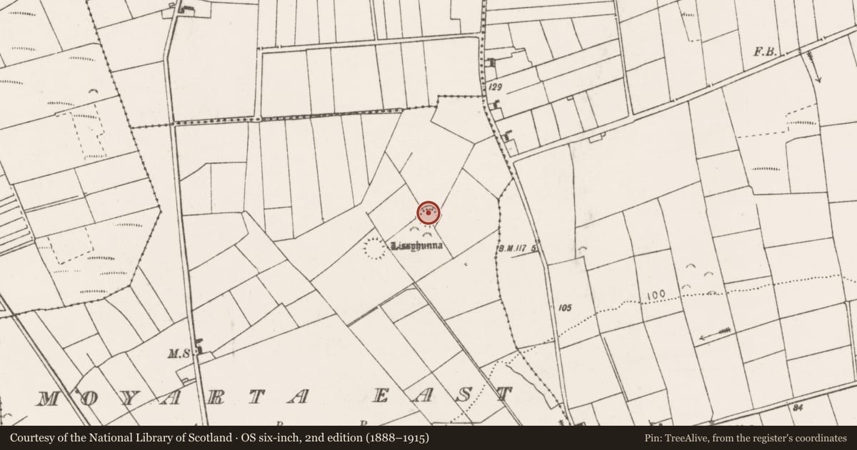 Ordnance Survey six-inch map, 2nd edition (1888–1915) covering the location of Ringfort - rath, Moyarta East, County Clare, with a pin at the register's coordinates