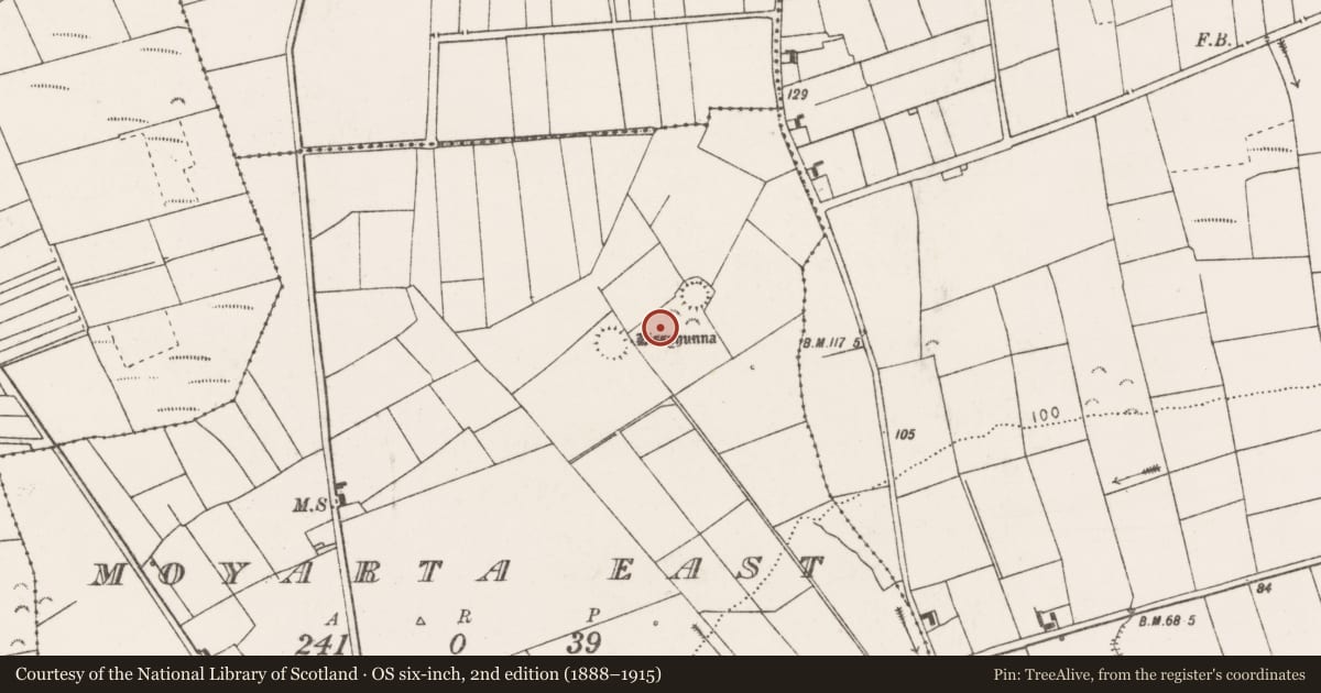 Ordnance Survey six-inch map, 2nd edition (1888–1915) covering the location of Souterrain, Moyarta East, County Clare, with a pin at the register's coordinates