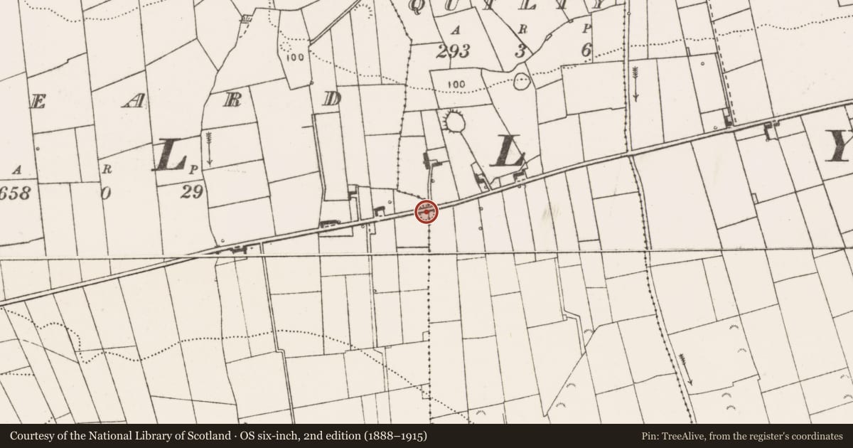 Ordnance Survey six-inch map, 2nd edition (1888–1915) covering the location of Ringfort - rath, Feeard, Quilty, County Clare, with a pin at the register's coordinates