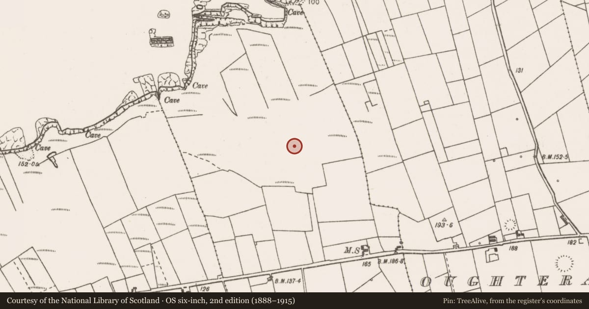 Ordnance Survey six-inch map, 2nd edition (1888–1915) covering the location of Earthwork, Quilty, County Clare, with a pin at the register's coordinates