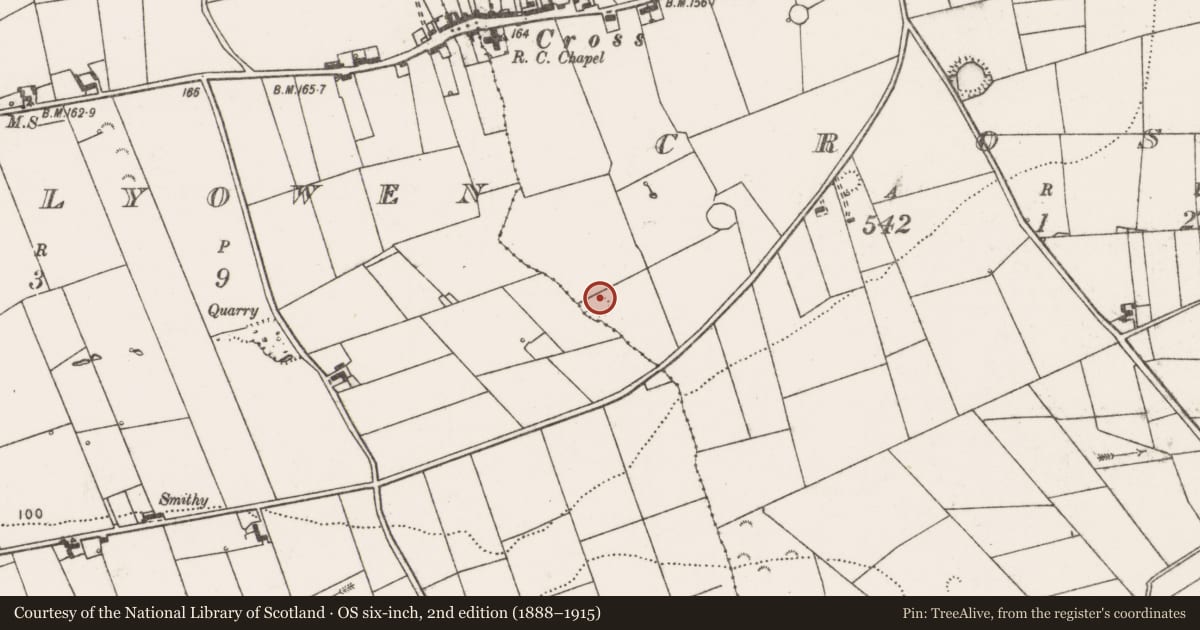 Ordnance Survey six-inch map, 2nd edition (1888–1915) covering the location of Ringfort - rath, Cross, County Clare, with a pin at the register's coordinates