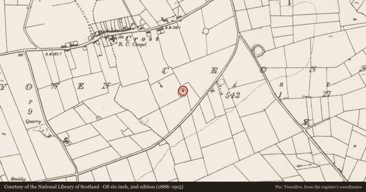 Ordnance Survey six-inch map, 2nd edition (1888–1915) covering the location of Ringfort - rath, Cross, County Clare, with a pin at the register's coordinates