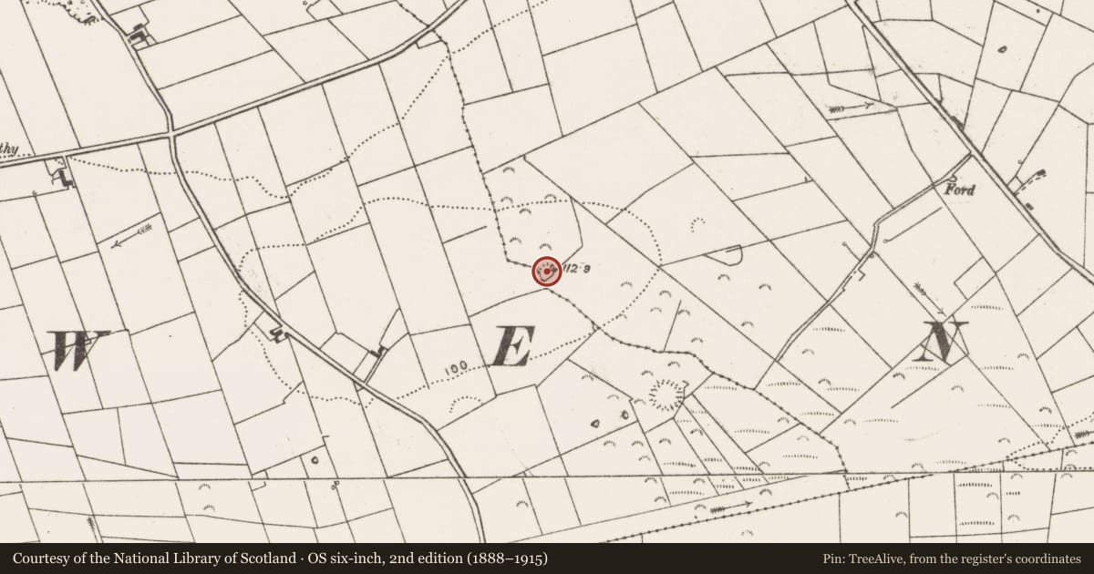 Ordnance Survey six-inch map, 2nd edition (1888–1915) covering the location of Ringfort - rath, Cross, County Clare, with a pin at the register's coordinates
