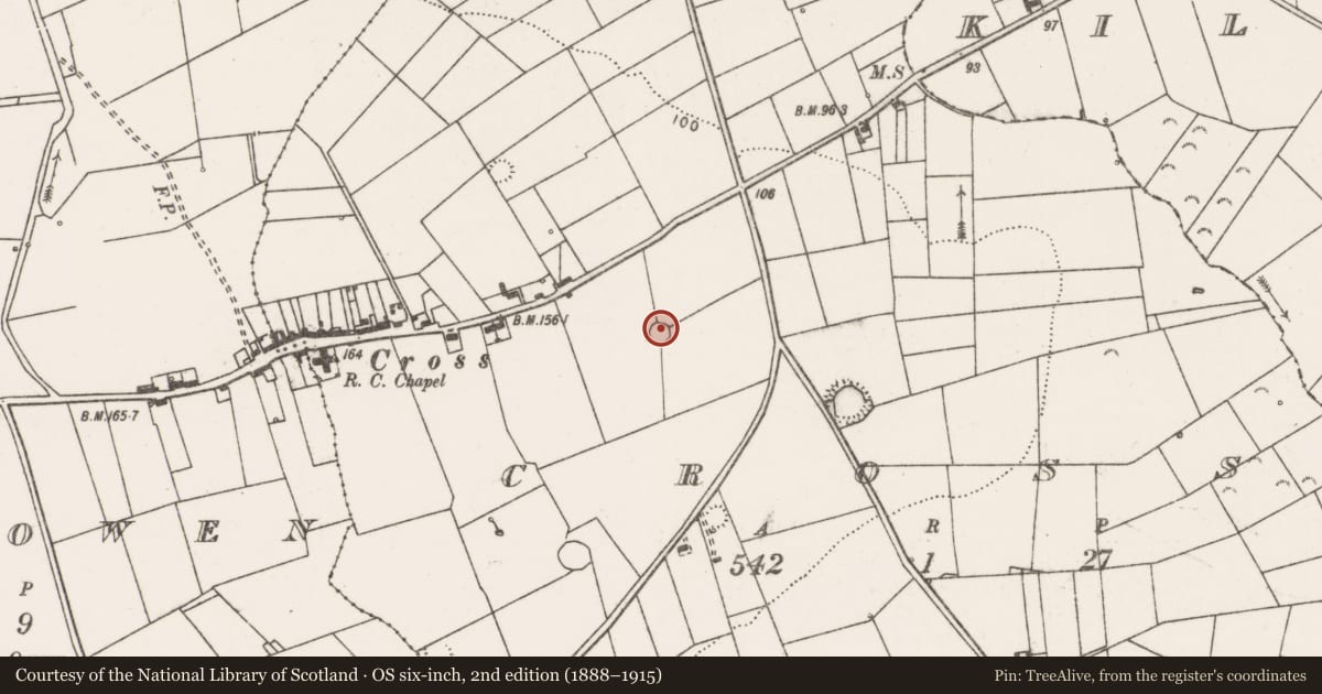 Ordnance Survey six-inch map, 2nd edition (1888–1915) covering the location of Ringfort - rath, Cross, County Clare, with a pin at the register's coordinates