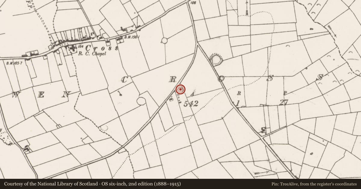 Ordnance Survey six-inch map, 2nd edition (1888–1915) covering the location of Ringfort - rath, Cross, County Clare, with a pin at the register's coordinates